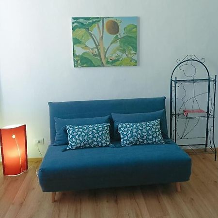 Pane E Tulipani, Cozy Apartment Near City Center 토리노 외부 사진